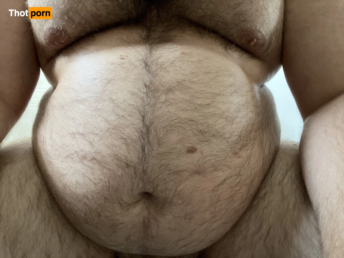 Big Fat Bear 5102810