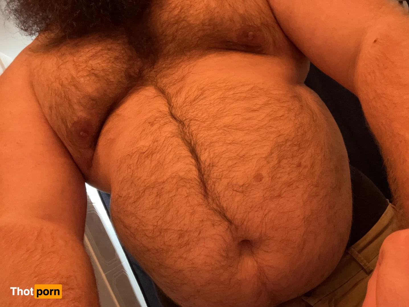 Big Fat Bear 5102819