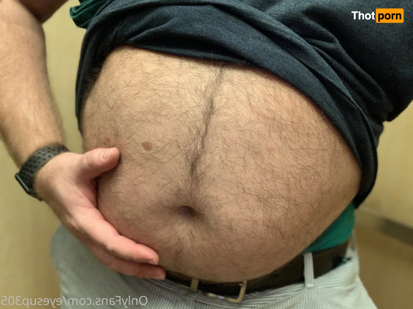 Big Fat Bear 5102828