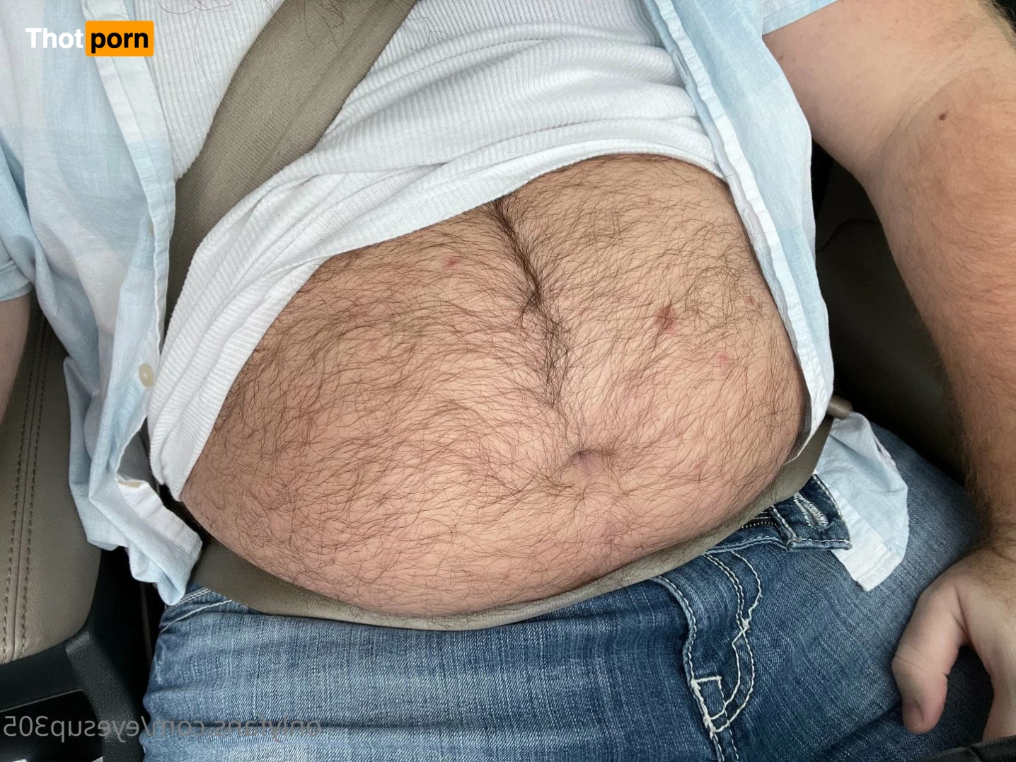 Big Fat Bear 5102839