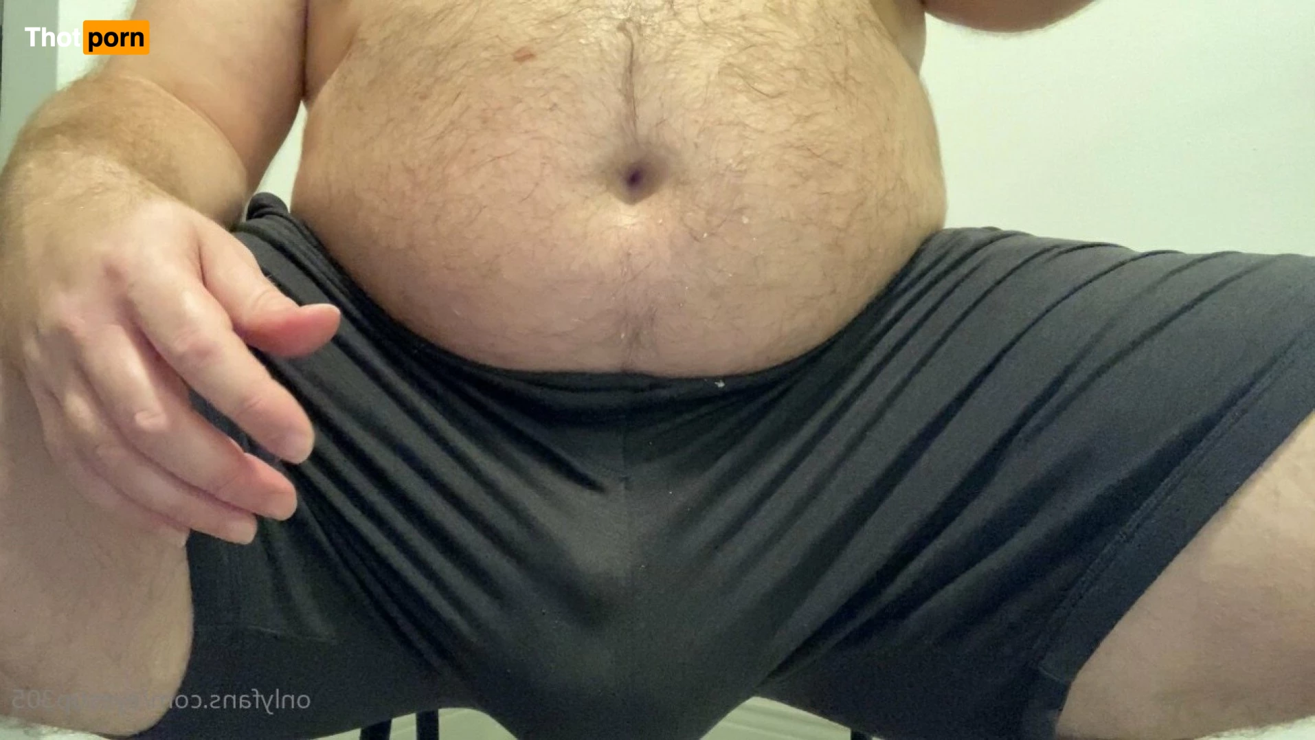 Big Fat Bear 5102850