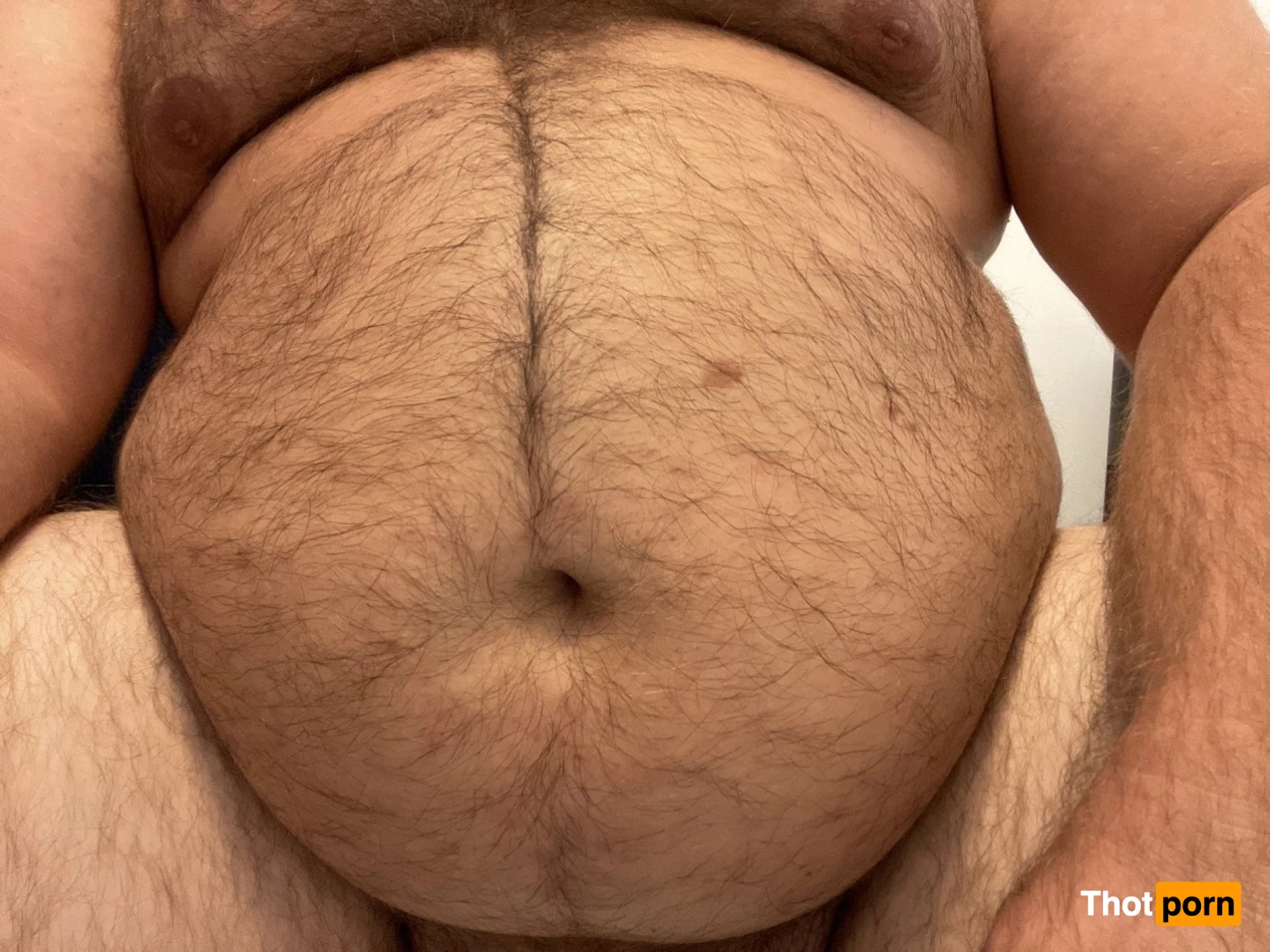 Big Fat Bear 5102861