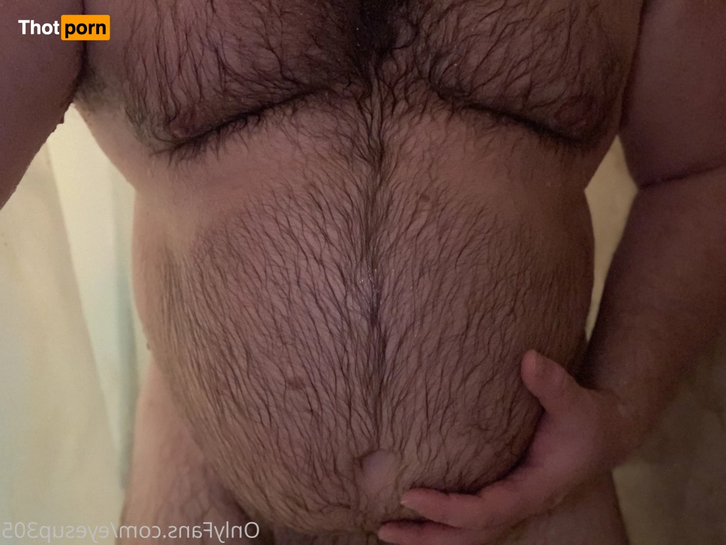 Big Fat Bear 5102889