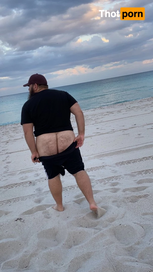 Big Fat Bear 5102913