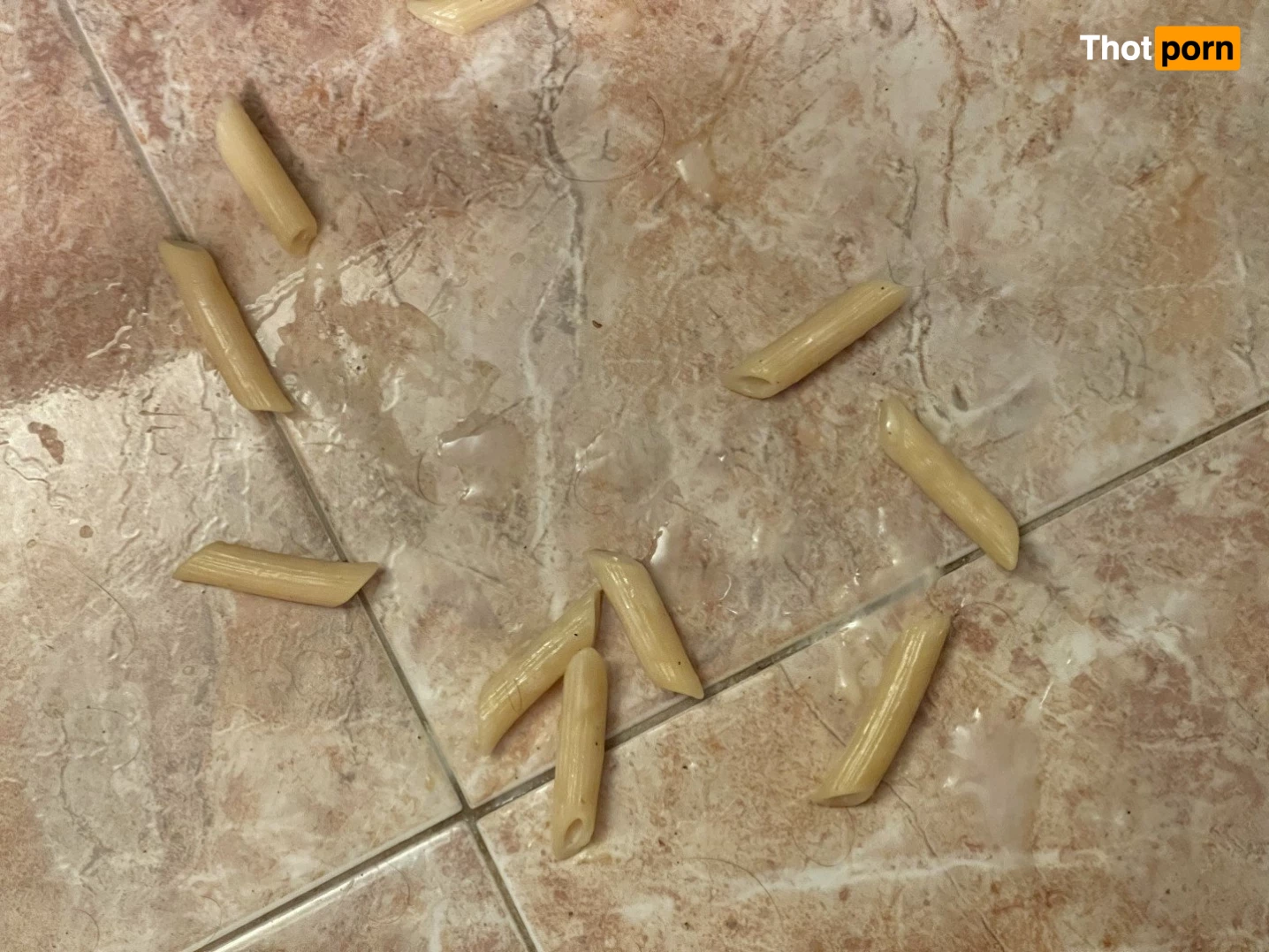 Big Fat Bear 5102929