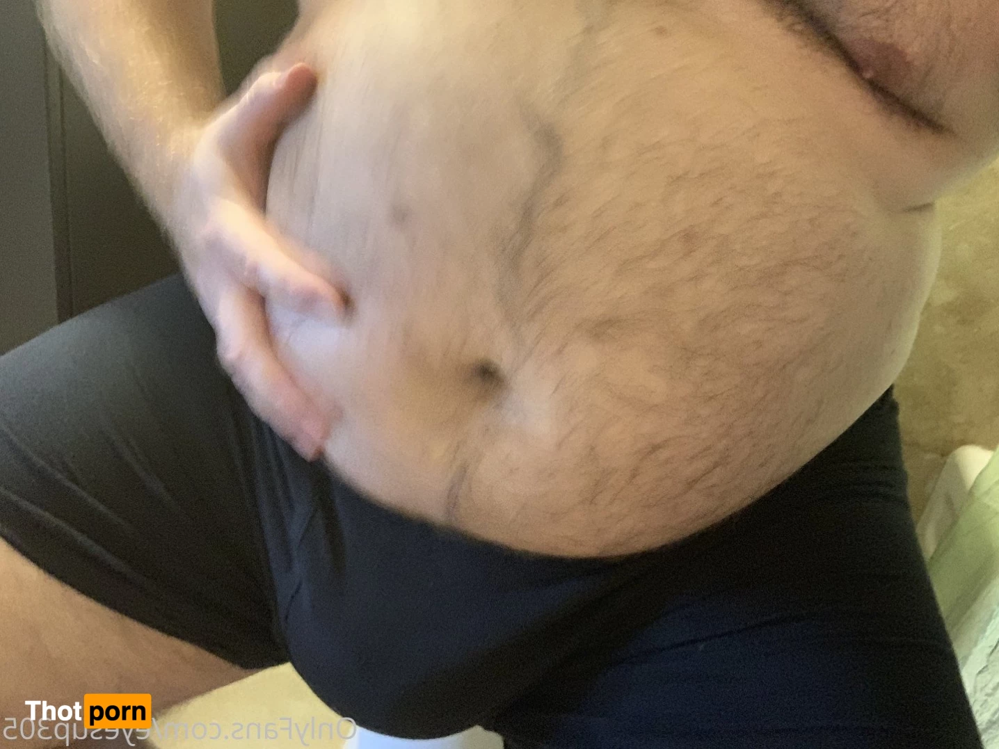 Big Fat Bear 5102940