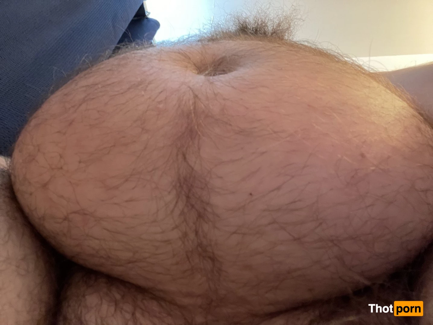 Big Fat Bear 5103031