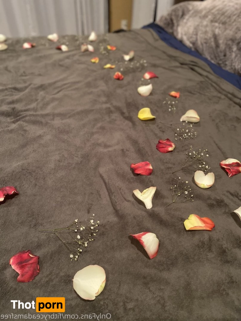 Bryce Adams - VIP 5085816