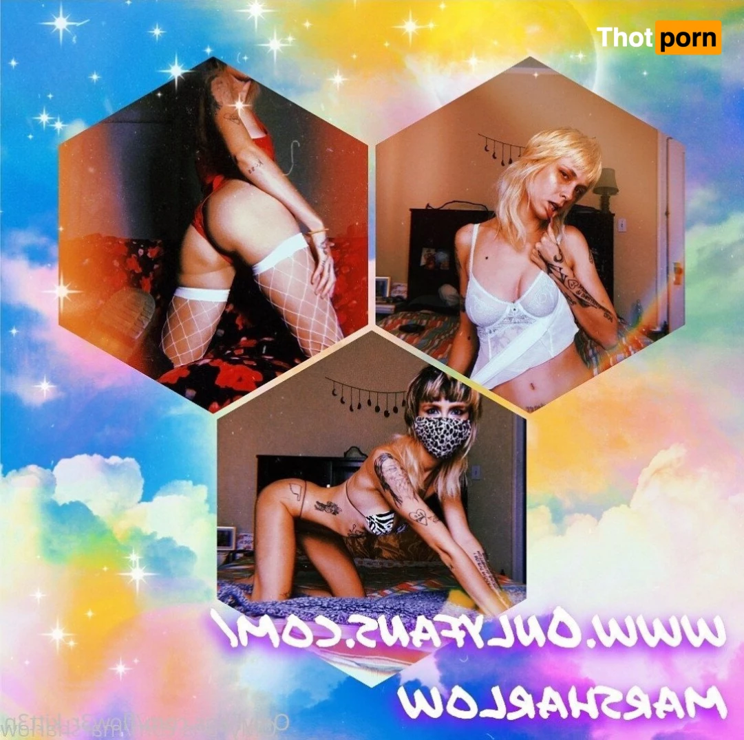 flow3r_kitt3n 5067146