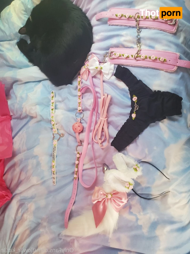 flow3r_kitt3n 5067434