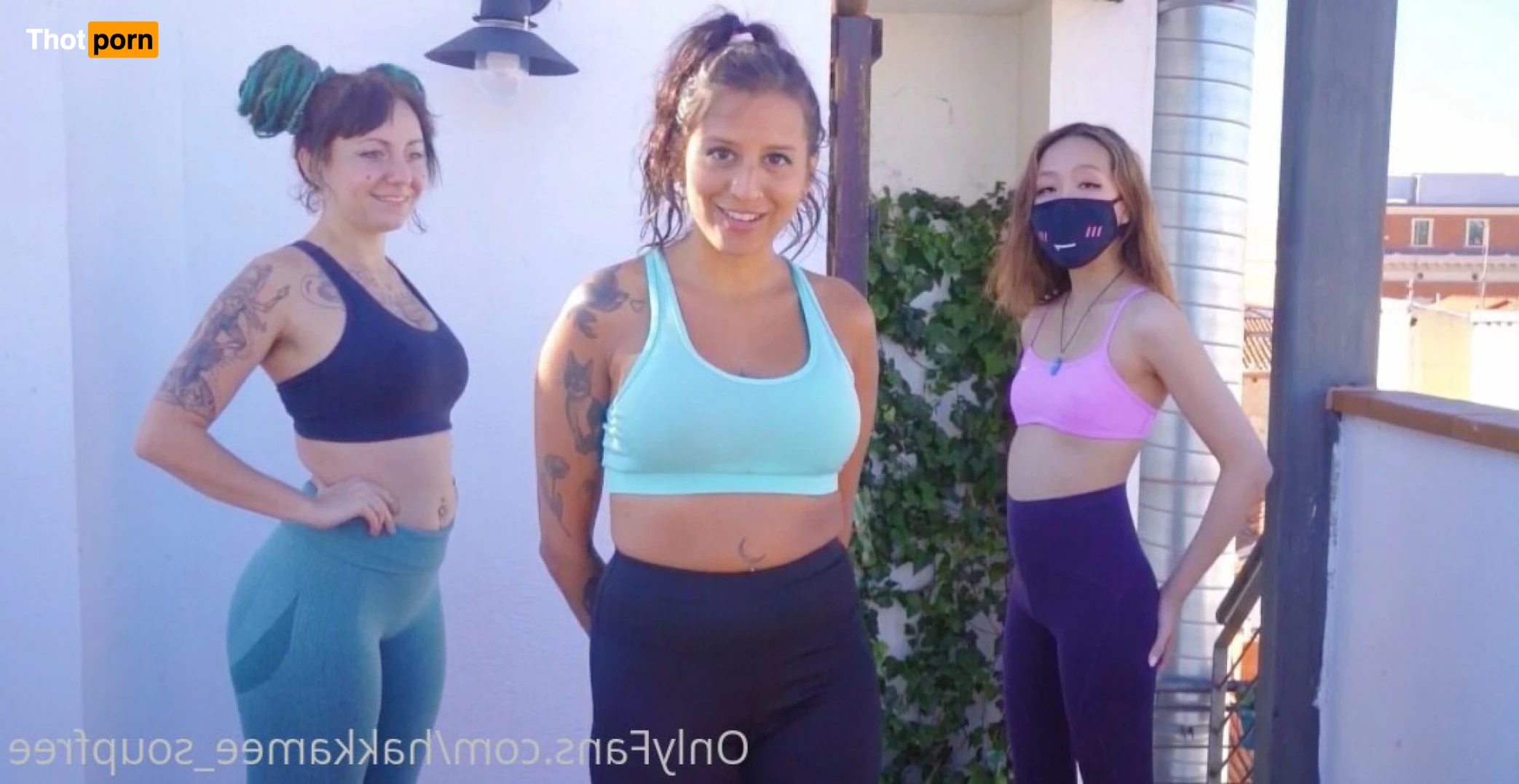 hakka's free corner 🌿 12993586