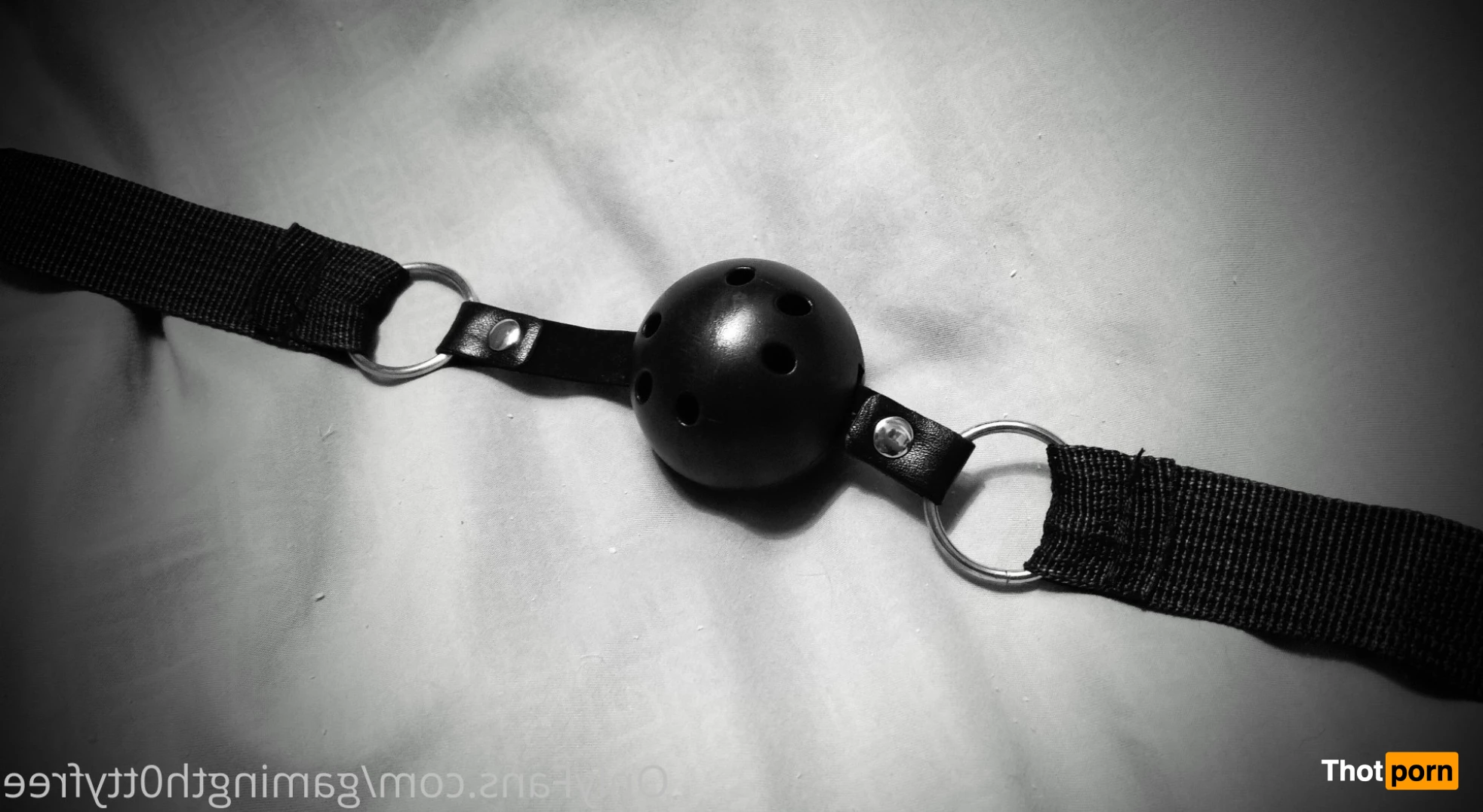 gamingth0ttyfree 5560642