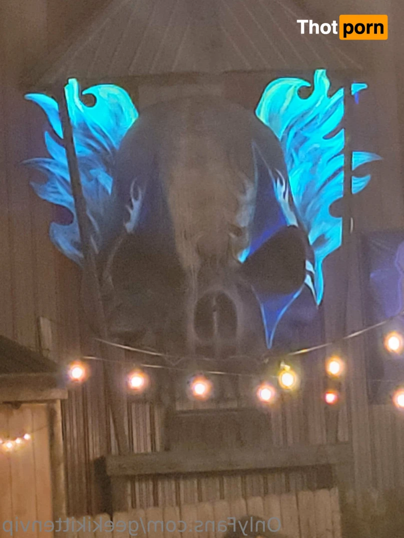 GeekiKittenVIP 11176958