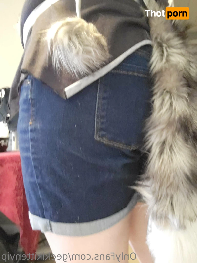 GeekiKittenVIP 13897496