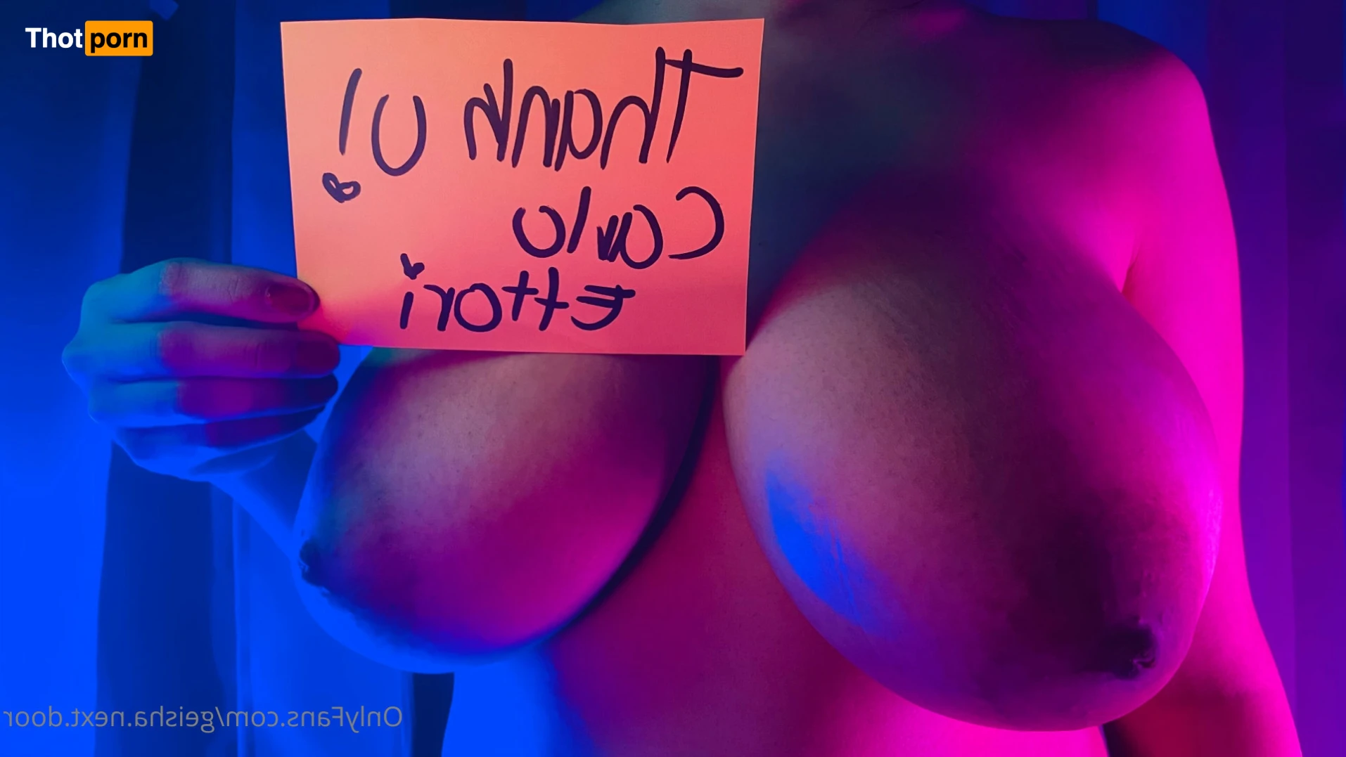 Geisha Next Door 13896549