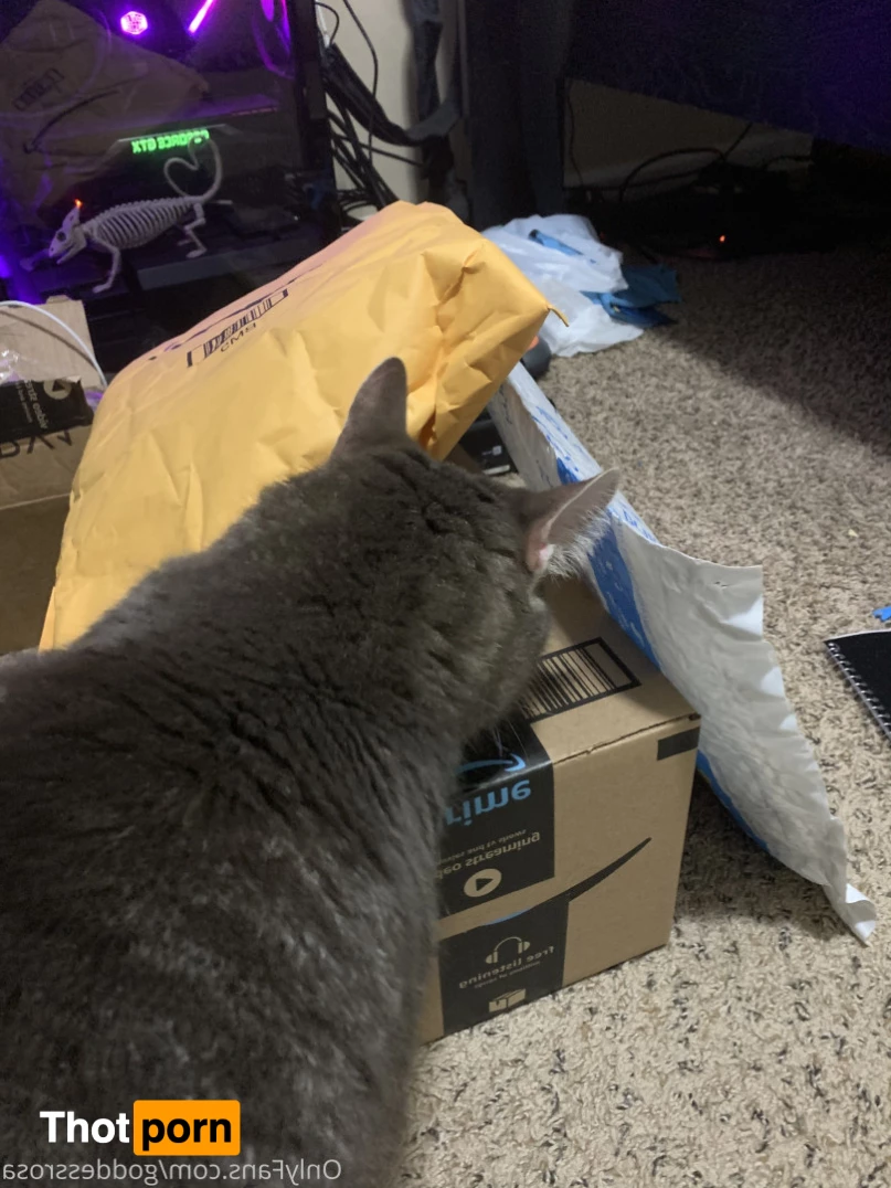 Goddess Rosa 5546371