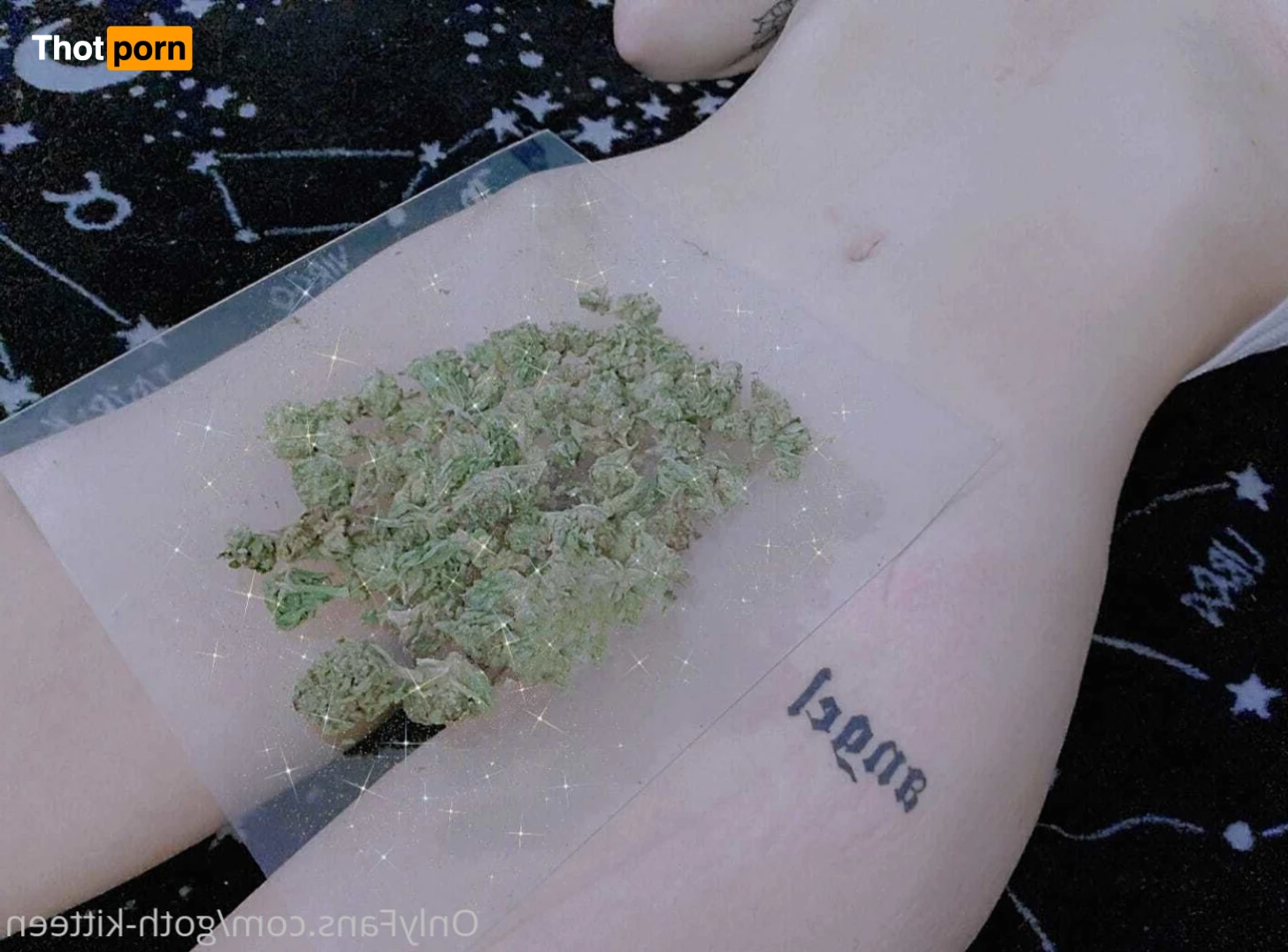 ♡ 𝕲𝖔𝖙𝖍 𝖐𝖎𝖙𝖙𝖊𝖓 ♡ 5591907