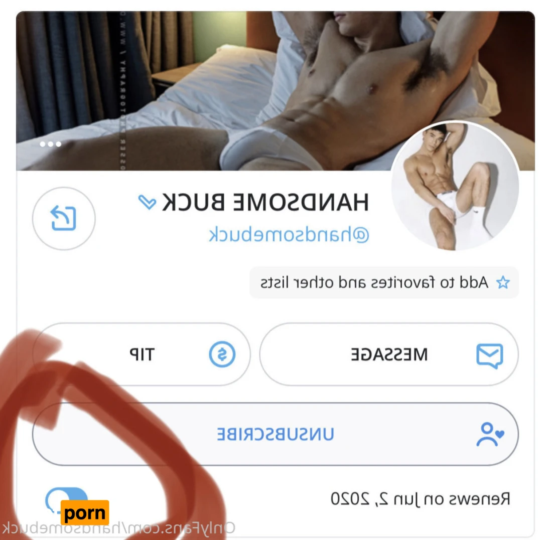 HANDSOME BUCK 15615533