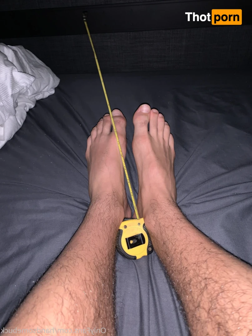 HANDSOME BUCK 15647032