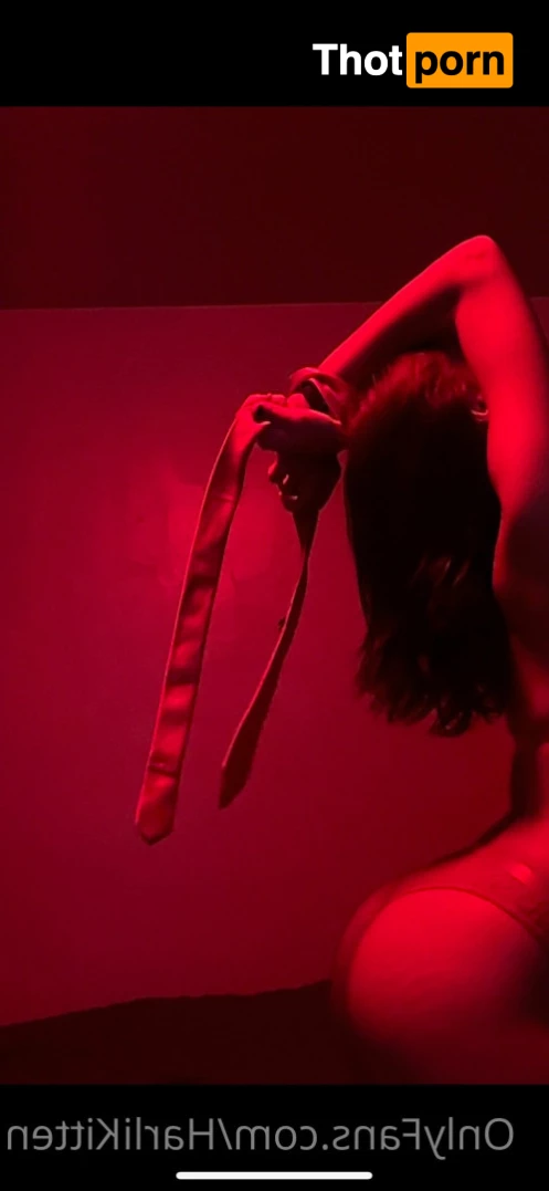 Harli Kitten 5781406