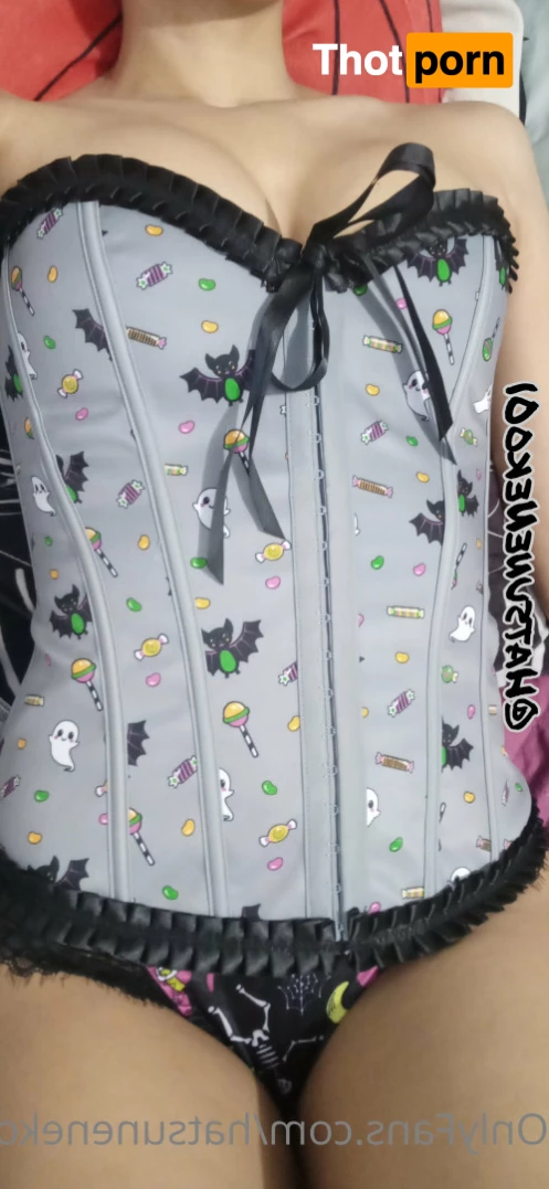 HatsuneNeko01 5683540