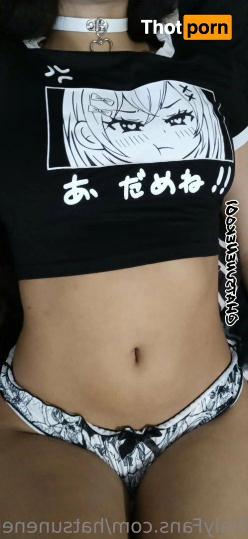 HatsuneNeko01 12890991