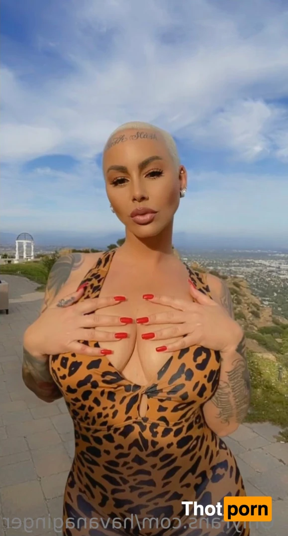 Havanaginger 12673486