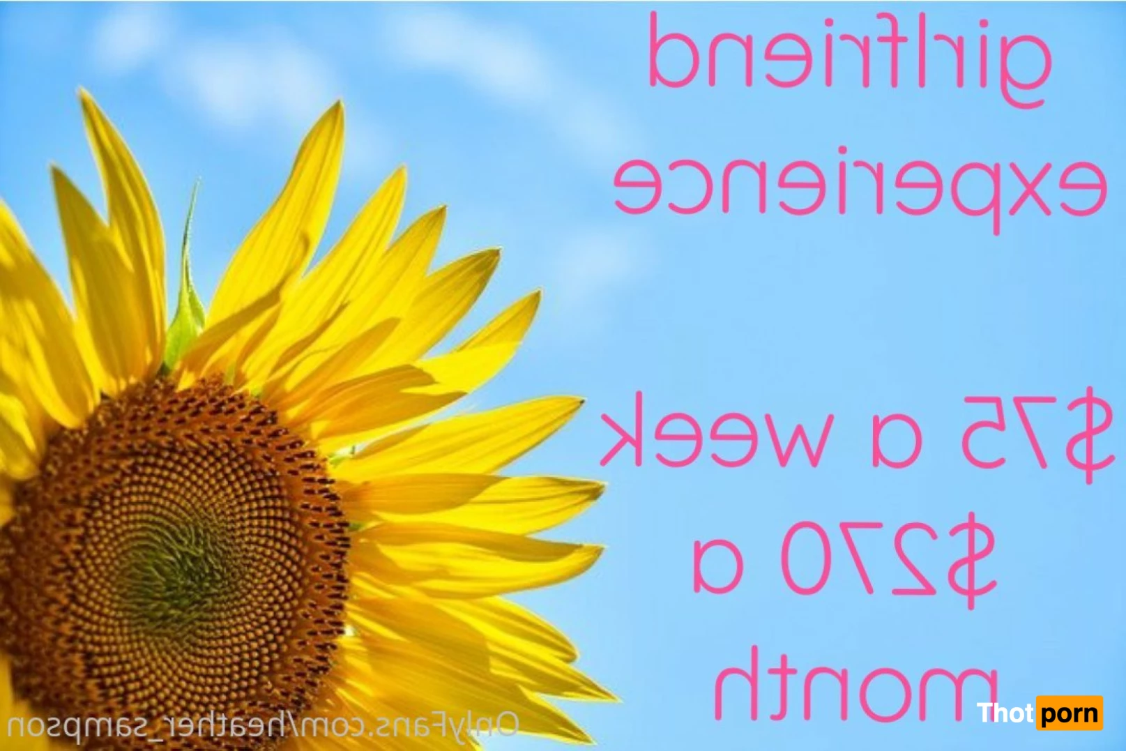 heather_sampson 5584168