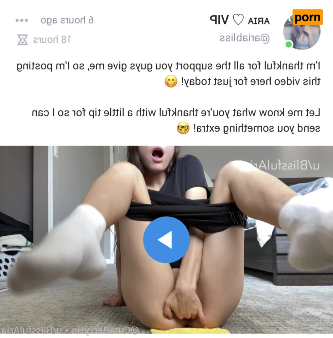 hiblissfularia 5583014