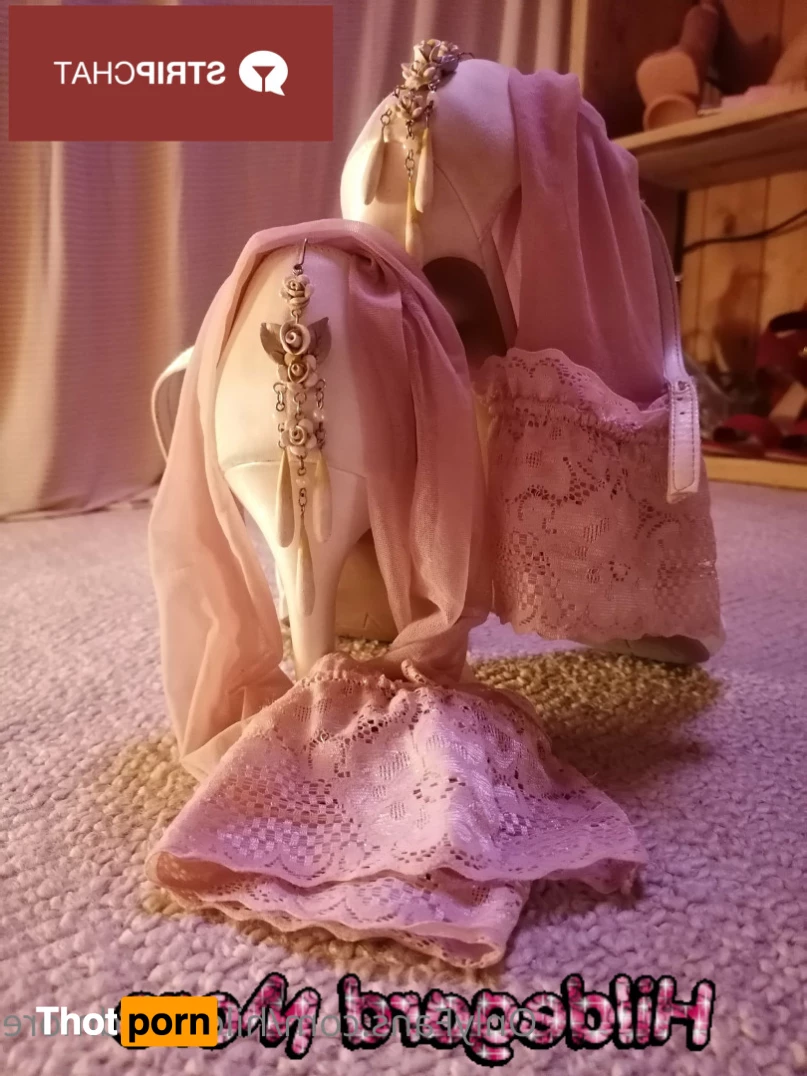 Hildegard More 5583331