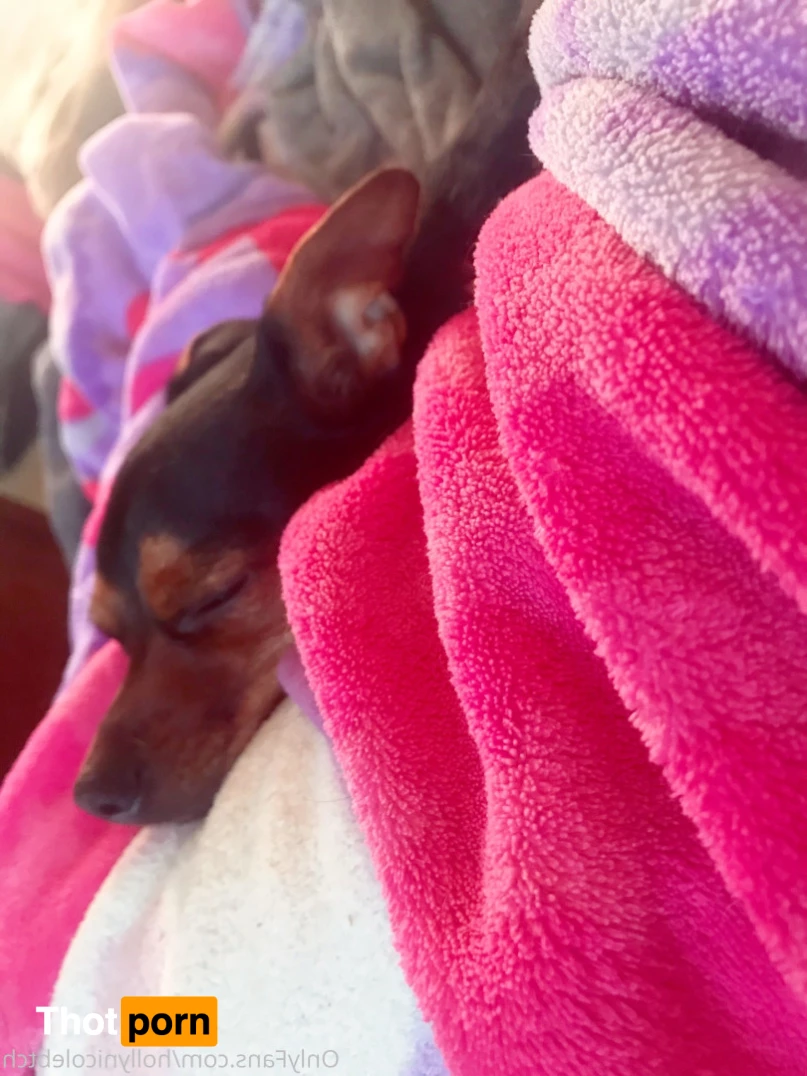 ⭐️ ꫝꫀꪶꪶ 𝒦𝒾𝓉𝓉𝓎 VIP🧸💕🍭 5749194