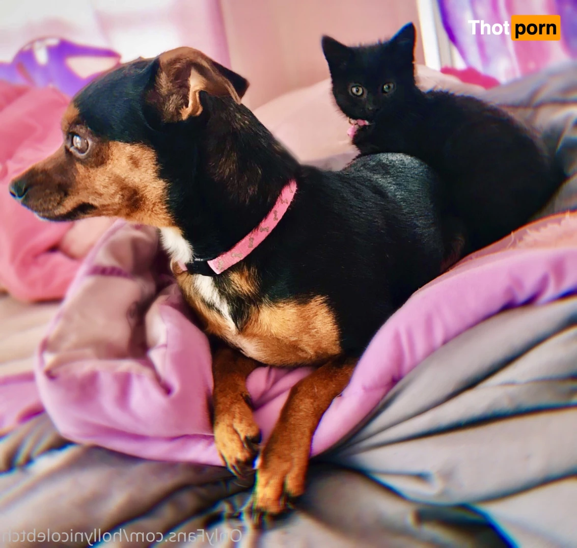 ⭐️ ꫝꫀꪶꪶ 𝒦𝒾𝓉𝓉𝓎 VIP🧸💕🍭 5749283