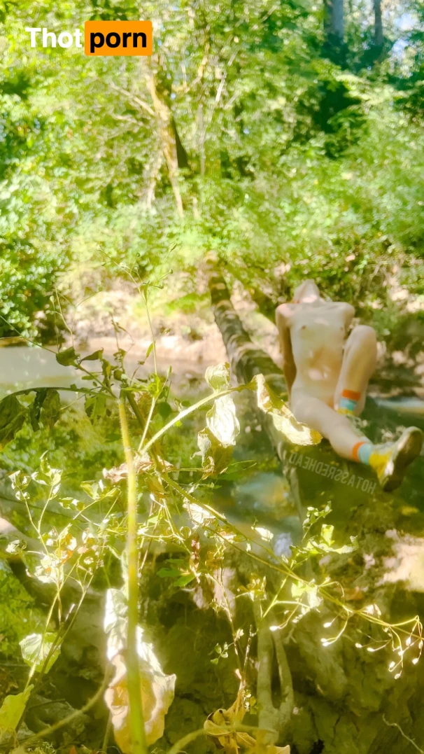 ꪶỉꪶ 𓆉 ࿐ྂ。 5581150