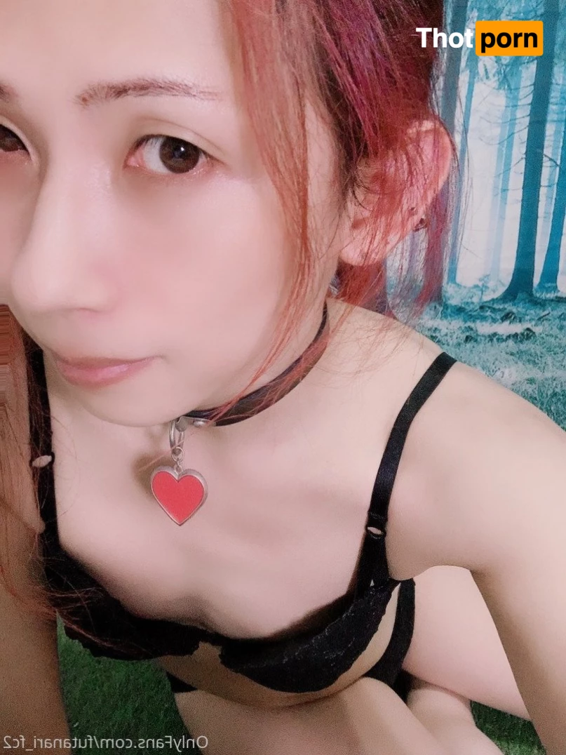 夜桜　Yozakura 424823