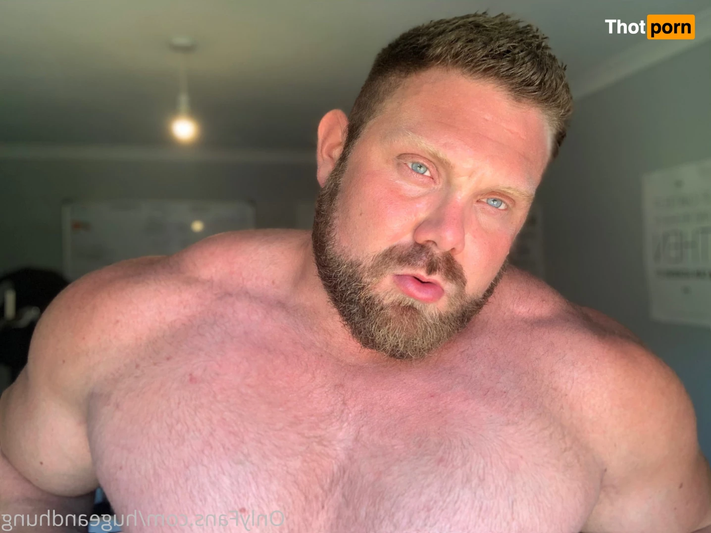 Jack Stacked XXL Bisexual Muscle Bull 5739964