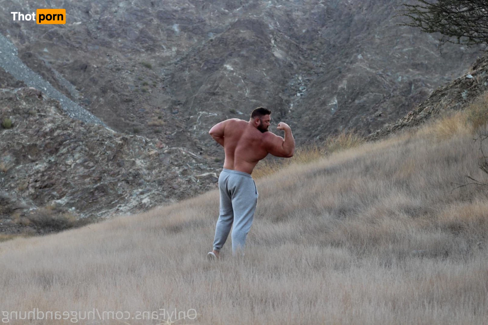 Jack Stacked XXL Bisexual Muscle Bull 5745122