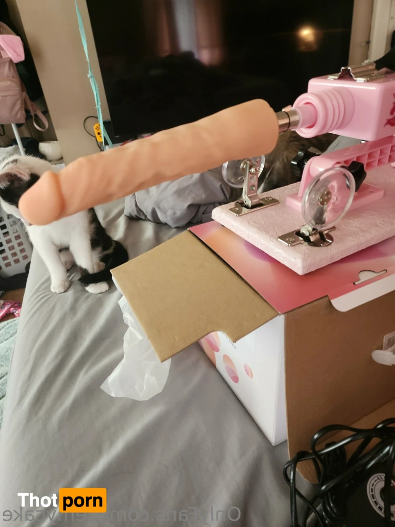 Trashley⚜ 12628444