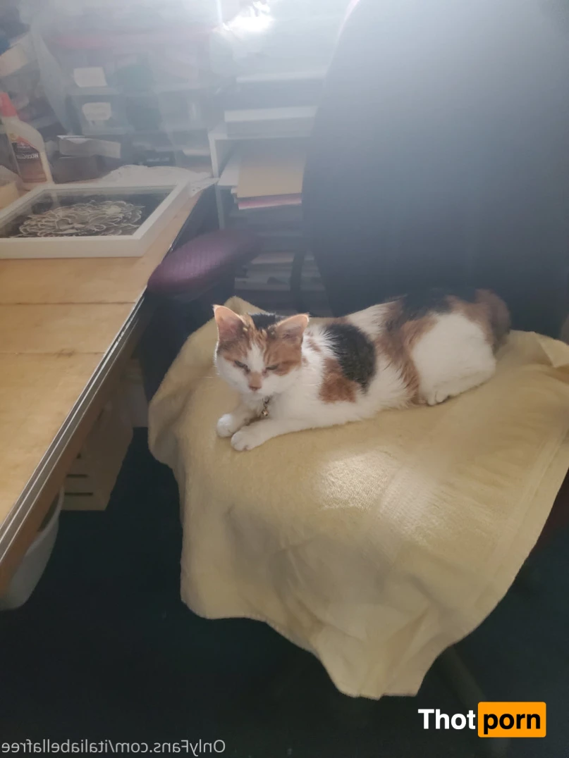 🍑Kendra Lee💦 5737410