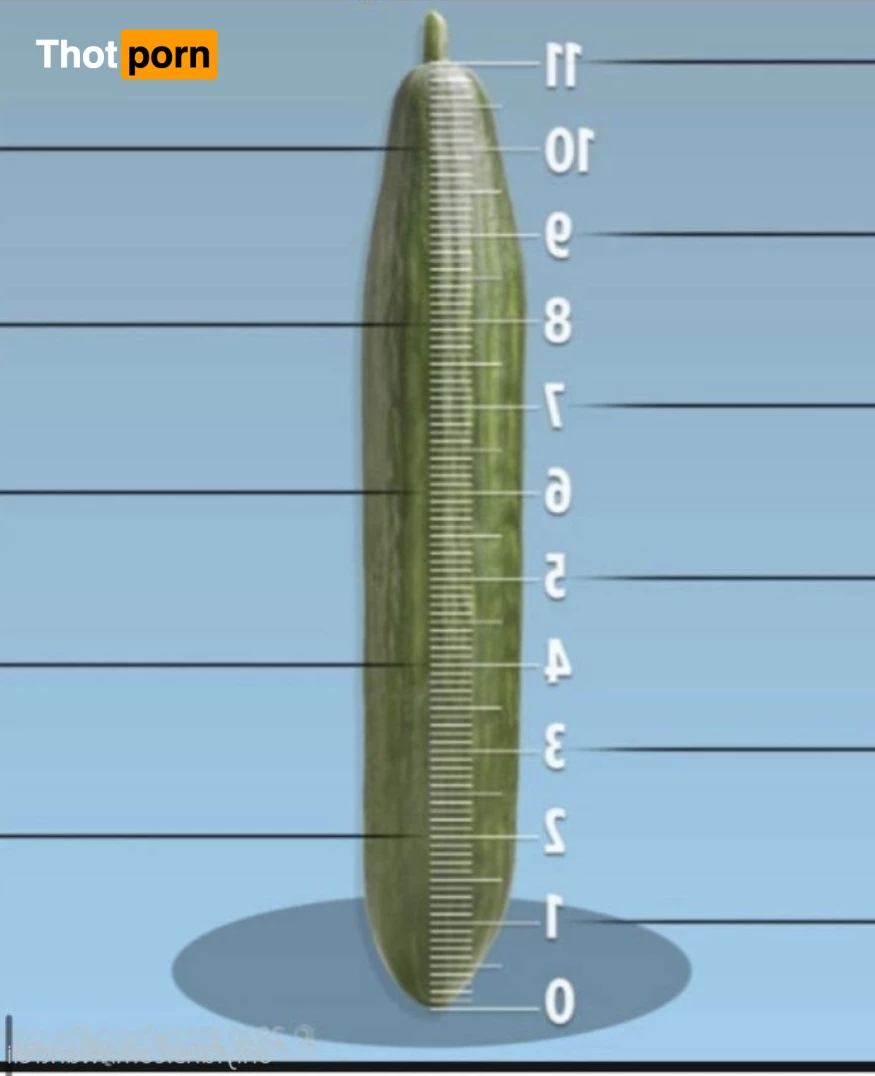 Feli VIP 💦 5573271