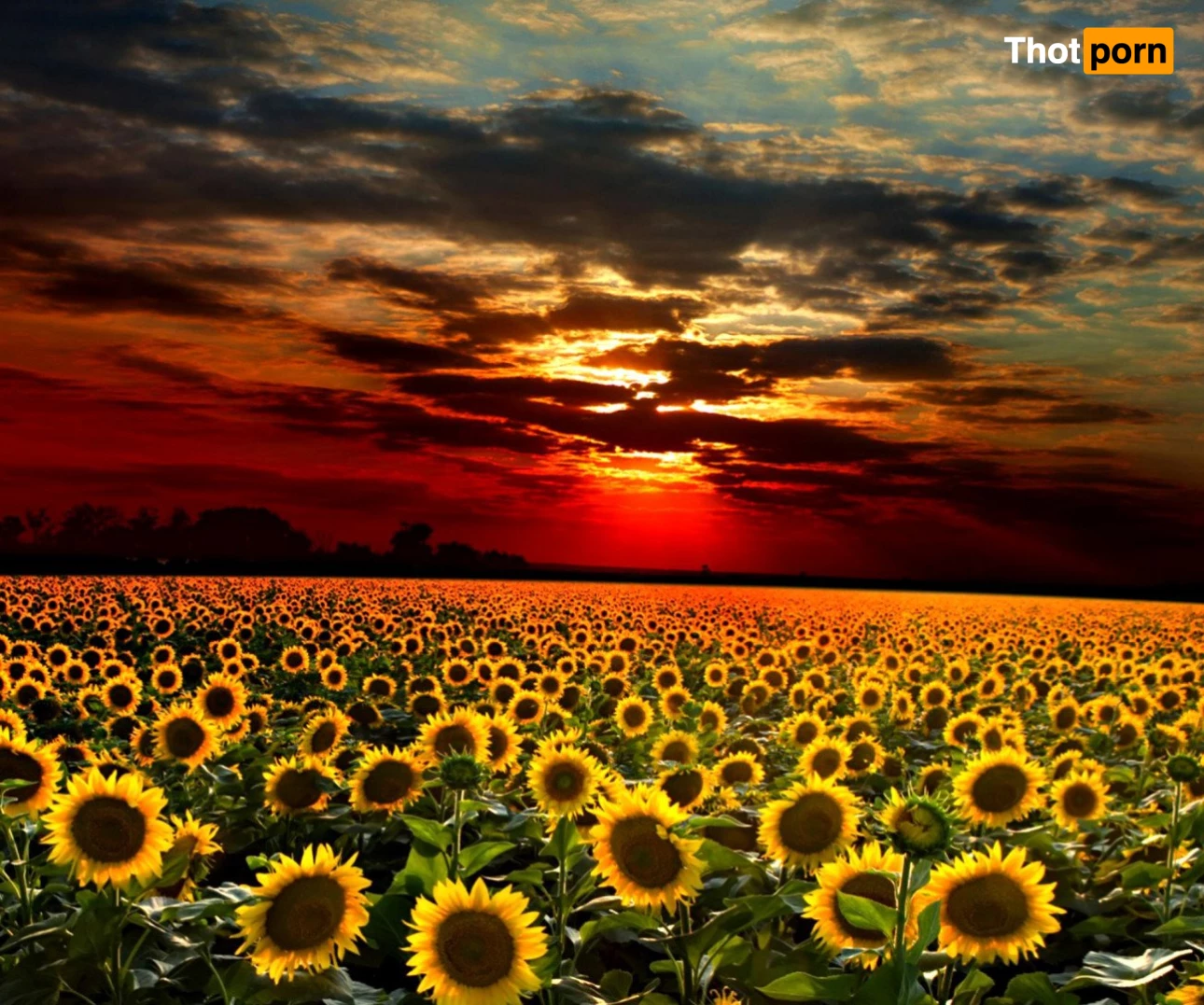 Gabrielle Wessels 434749