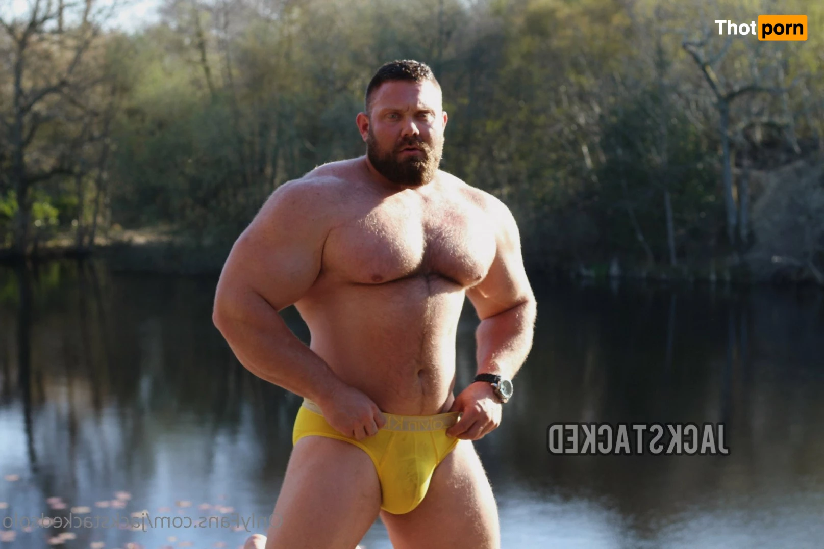 Jack Stacked Free 5511302