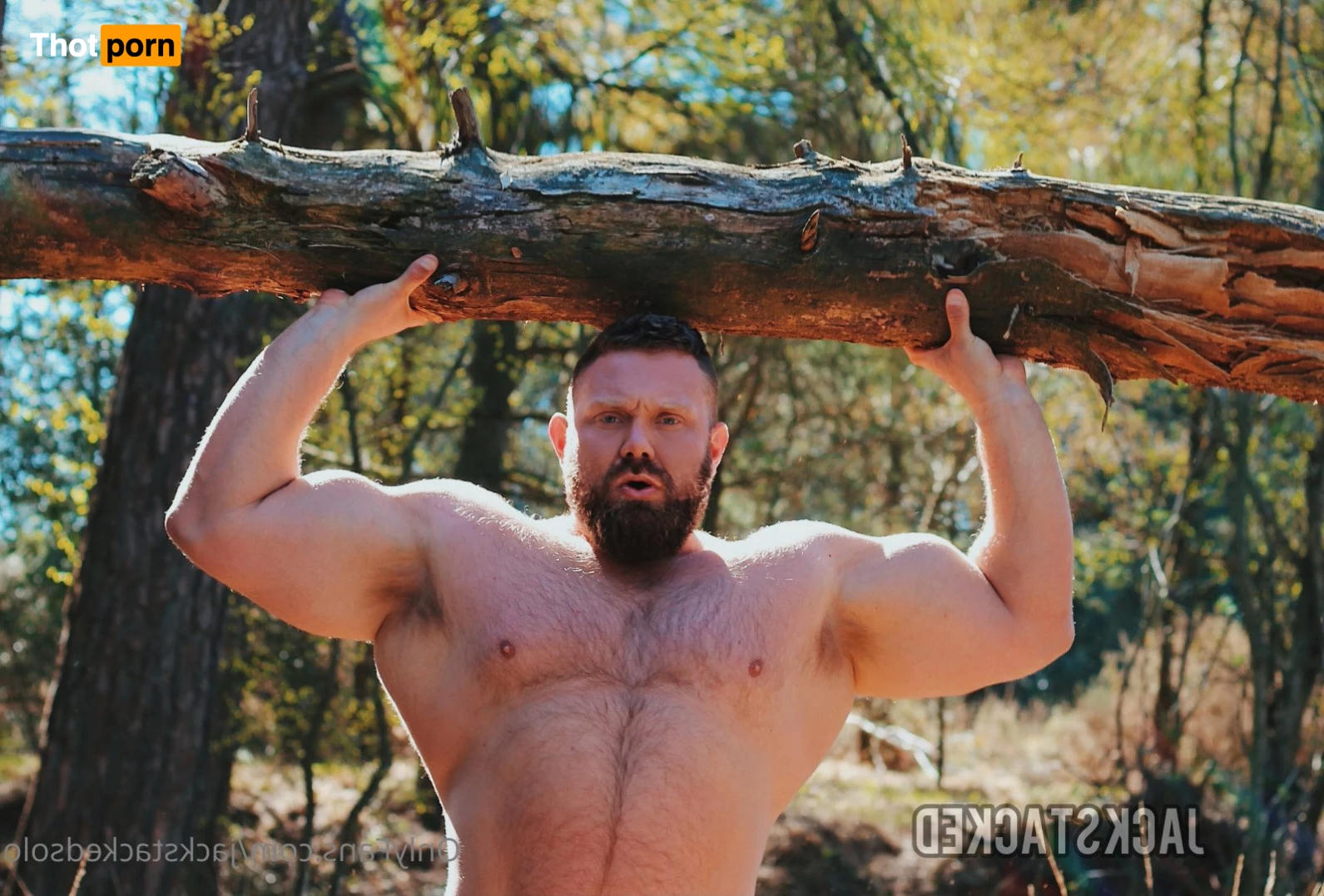 Jack Stacked Free 5511452