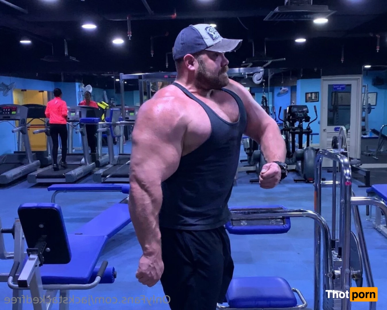 Jack Stacked Free 10820377