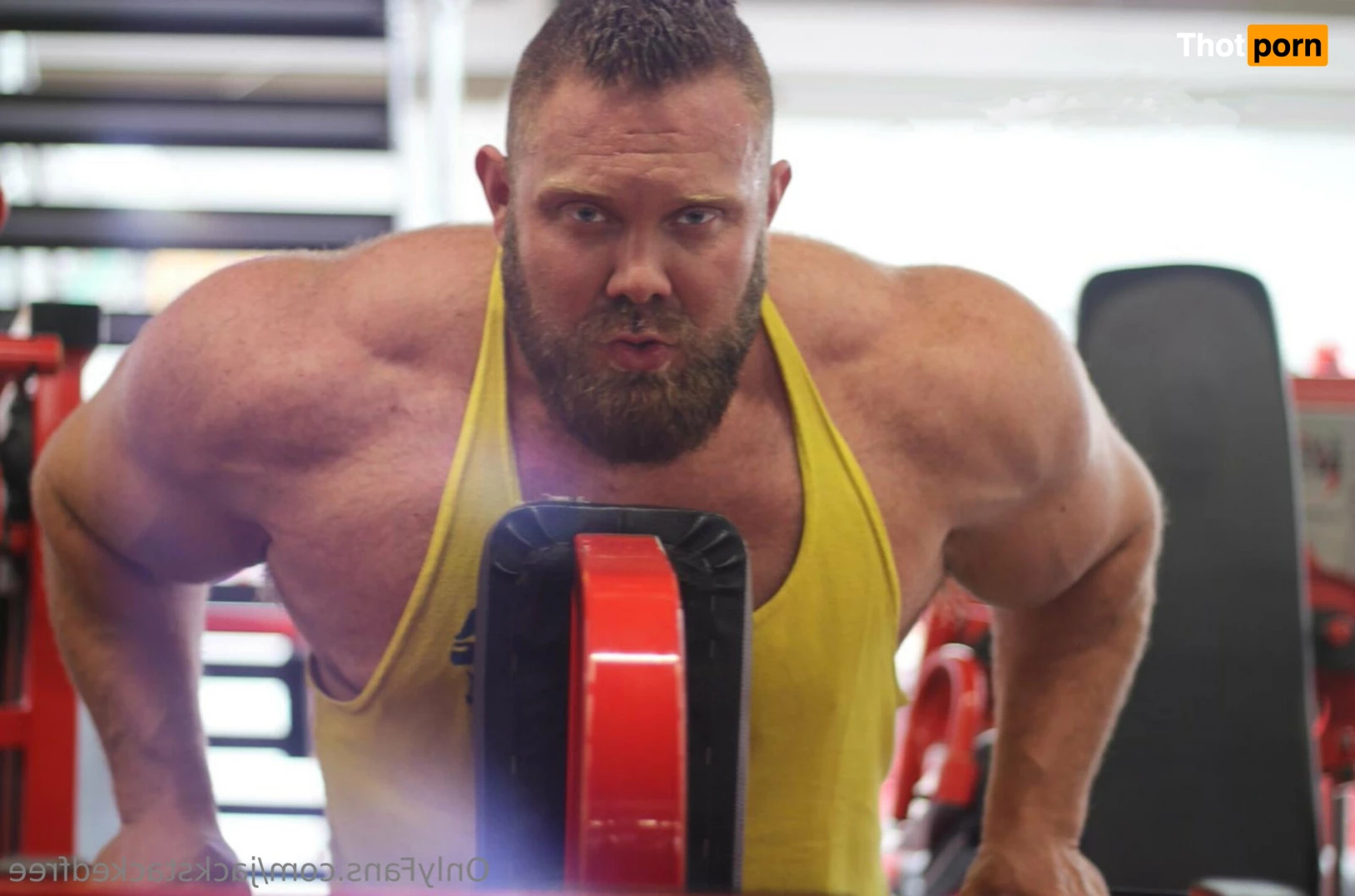 Jack Stacked Free 10820408