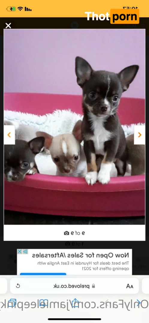 Jamieleepinkymummy 5700245