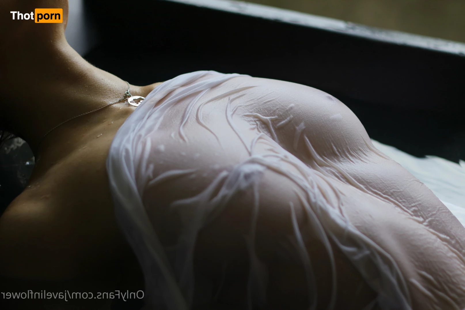 Javelin Daisy🇺🇦 5557141