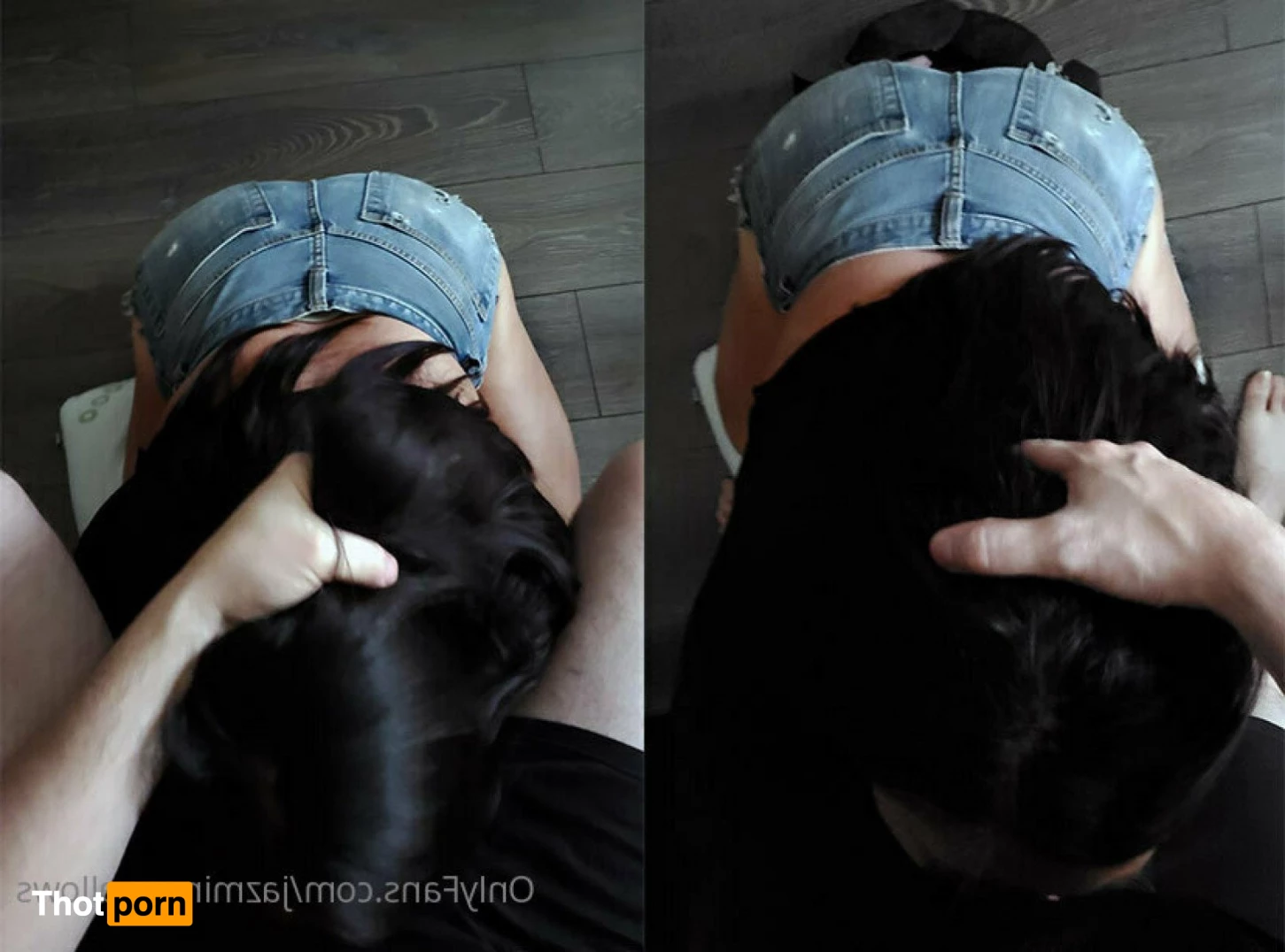 Jazmine Swallows 5499646