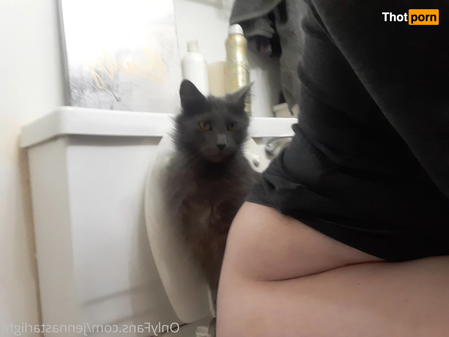 Jenna Starlight 5563564