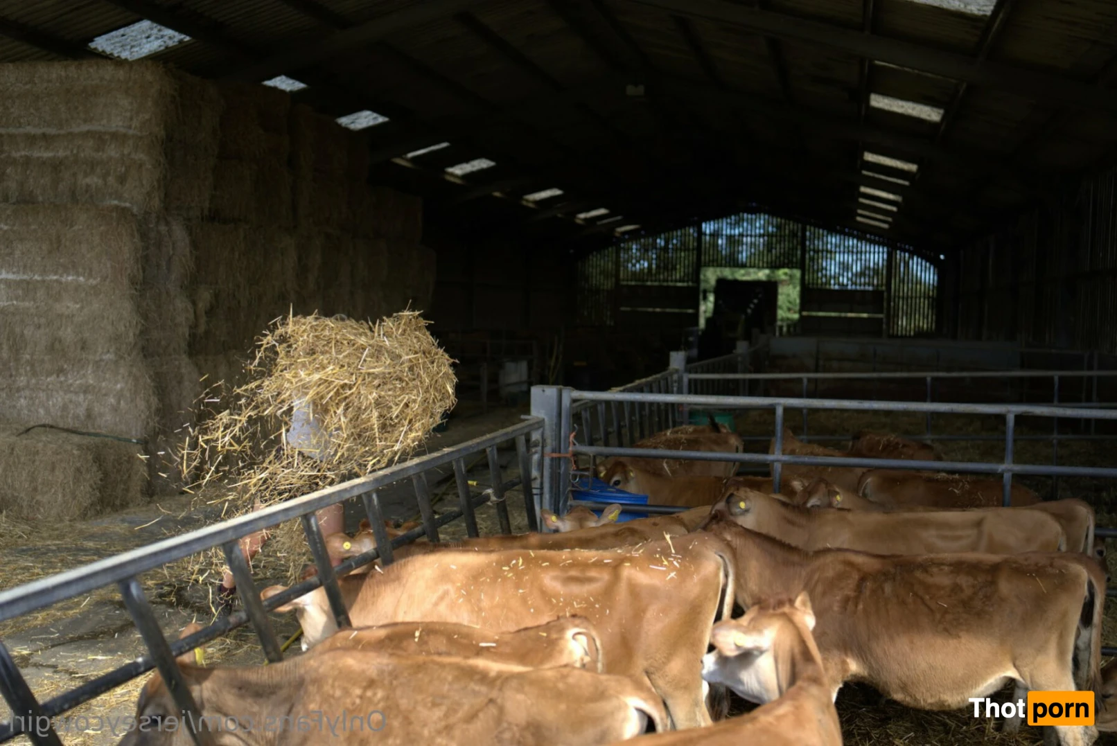 Becky Houzé 🐮 12212265