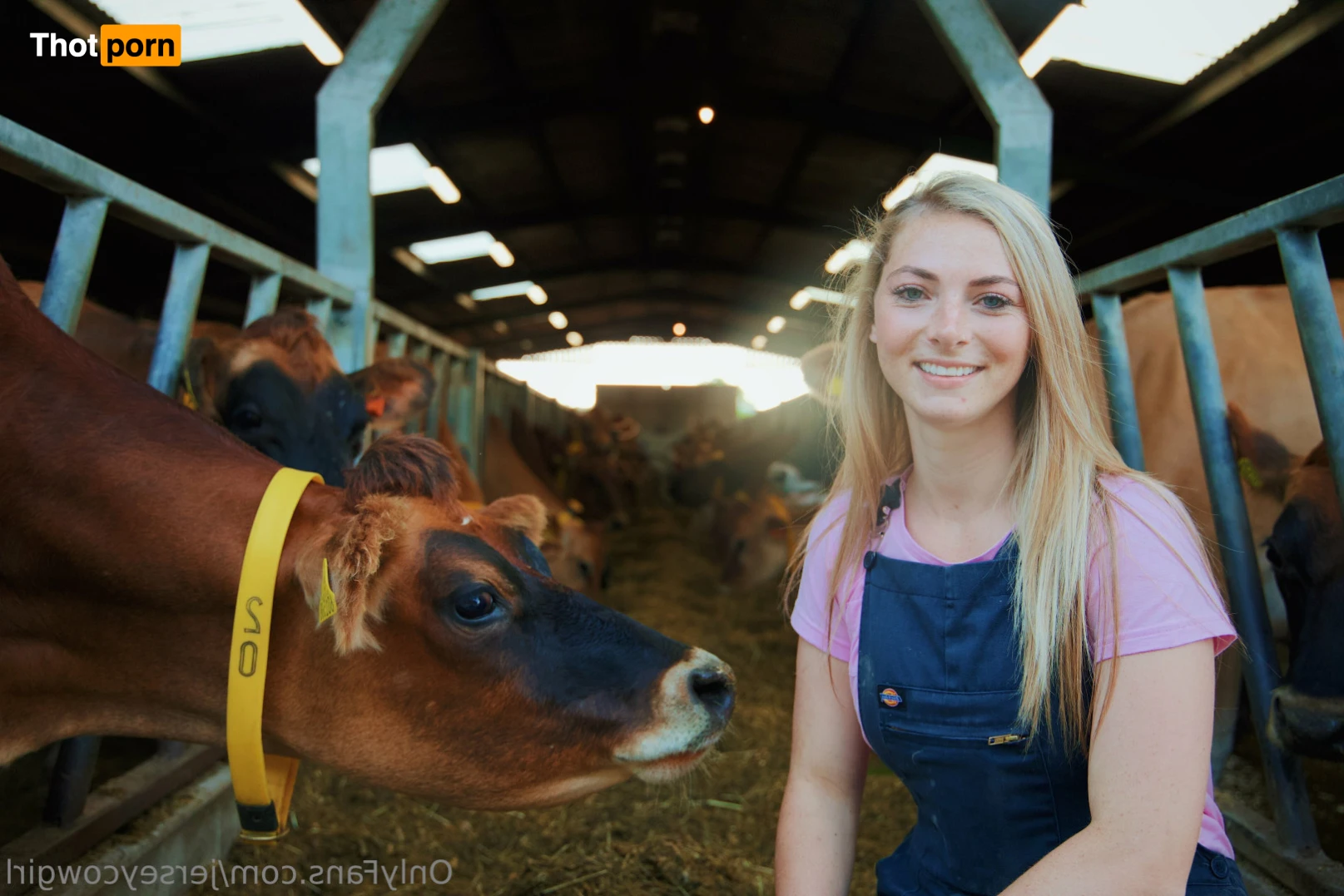 Becky Houzé 🐮 12212562